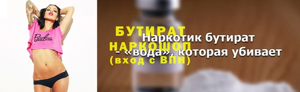 гашик Алексин
