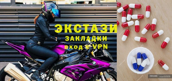 гашик Алексин