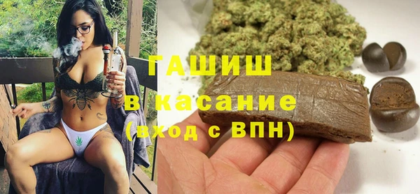 гашик Алексин