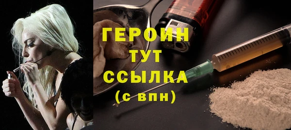 гашик Алексин