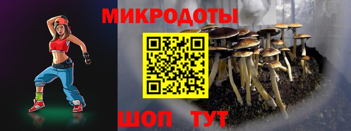 Псилоцибиновые грибы мицелий  Псилоцибиновые грибы Psilocybine cubensis  Сургут  Вход с VPN 
