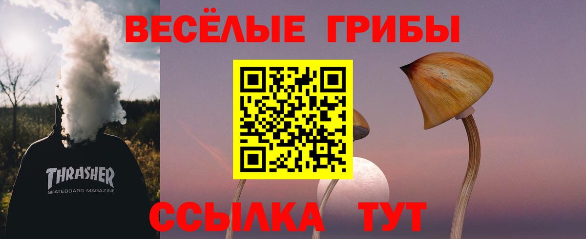 Псилоцибиновые грибы мухоморы Сургут